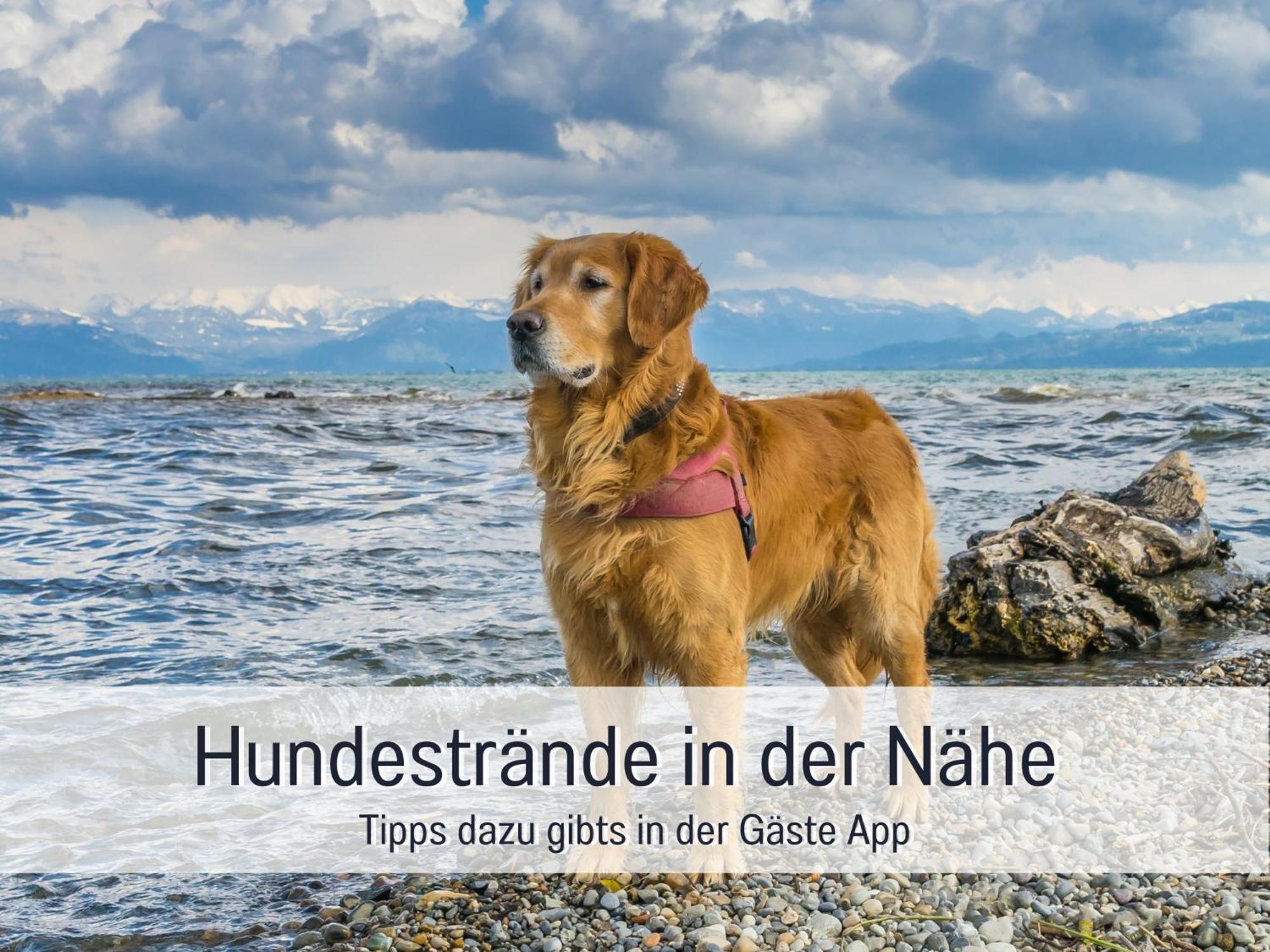 Sonnenterrasse - 3 Schlafzimmer, Whirlpool & Alpenblick - Perfekt Fuer Romantik Oder Familienurlaub Mit Kind , Hund Willkommen By Ferienwohnenamsee - Uberlingen Eksteriør billede
