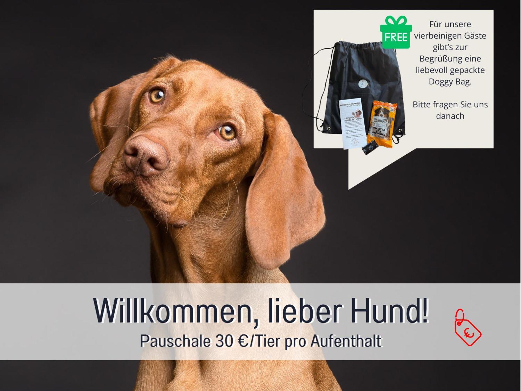 Sonnenterrasse - 3 Schlafzimmer, Whirlpool & Alpenblick - Perfekt Fuer Romantik Oder Familienurlaub Mit Kind , Hund Willkommen By Ferienwohnenamsee - Uberlingen Eksteriør billede