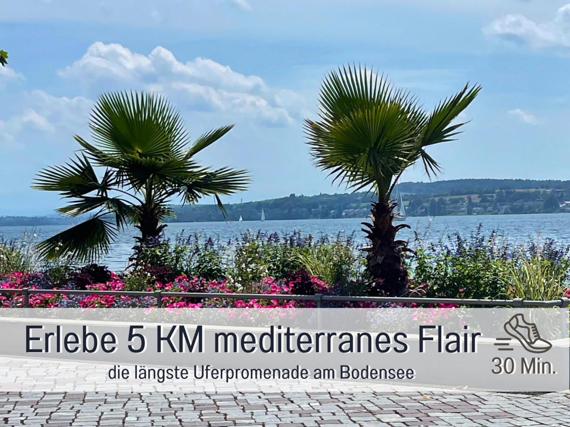 Sonnenterrasse - 3 Schlafzimmer, Whirlpool & Alpenblick - Perfekt Fuer Romantik Oder Familienurlaub Mit Kind , Hund Willkommen By Ferienwohnenamsee - Uberlingen Eksteriør billede